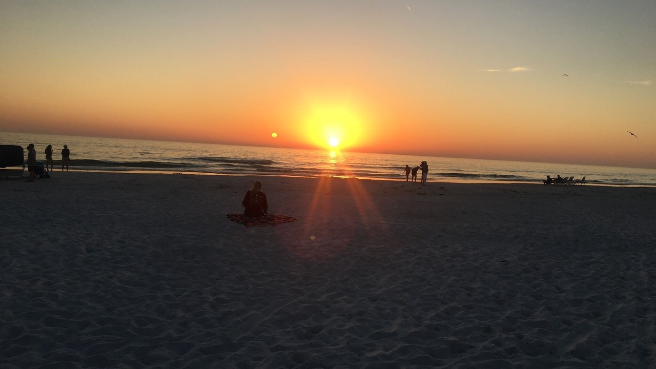 Photo of Others in Siesta Key