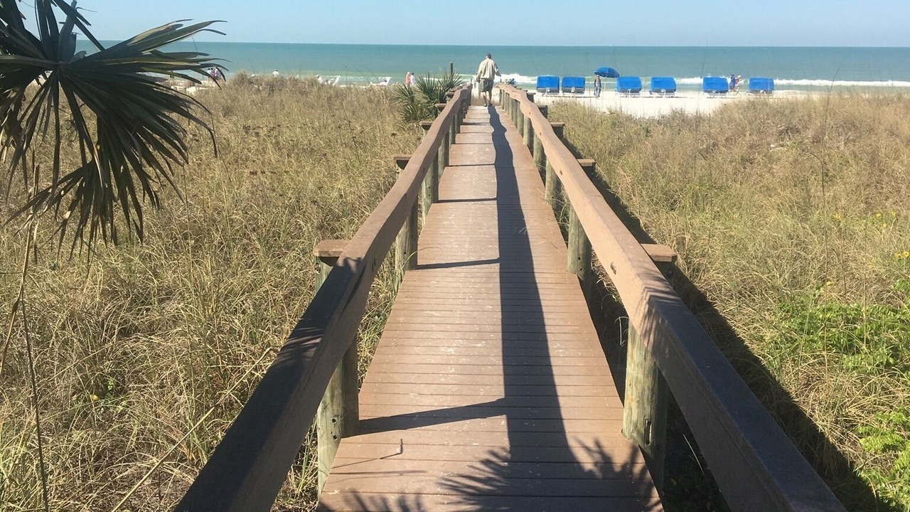 Photo of Others in Siesta Key