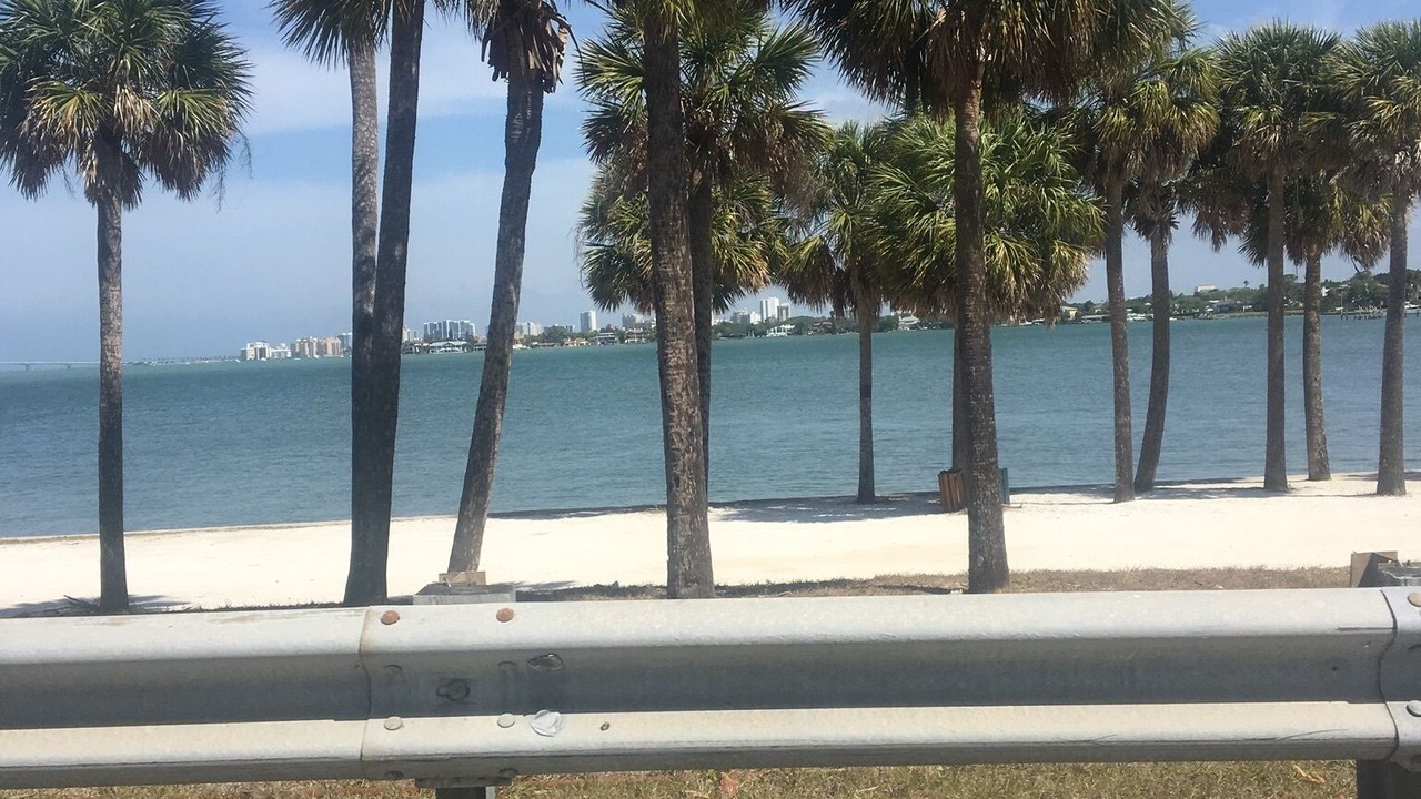 Photo of Others in Siesta Key