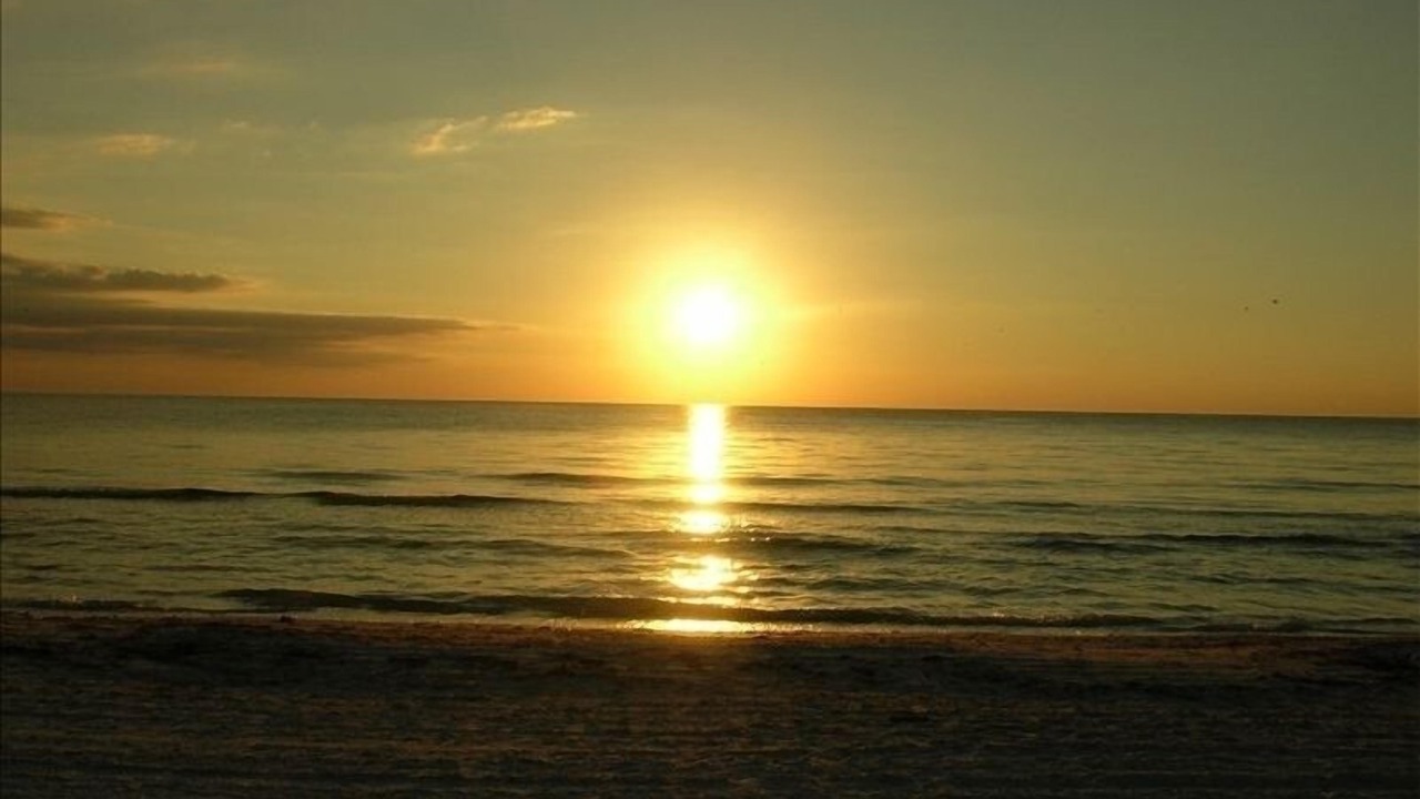 Photo of Others in Siesta Key