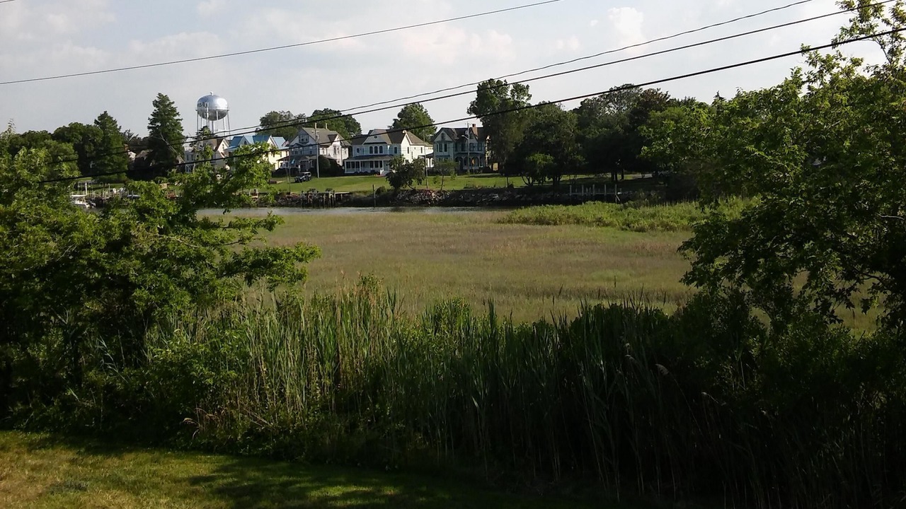 Photo of Outdoor in Lewes