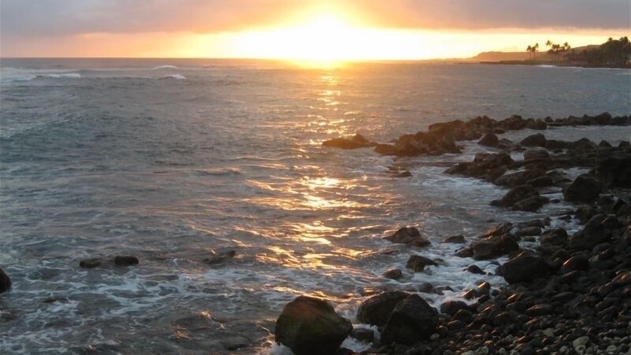 Photo of Others in Poipu