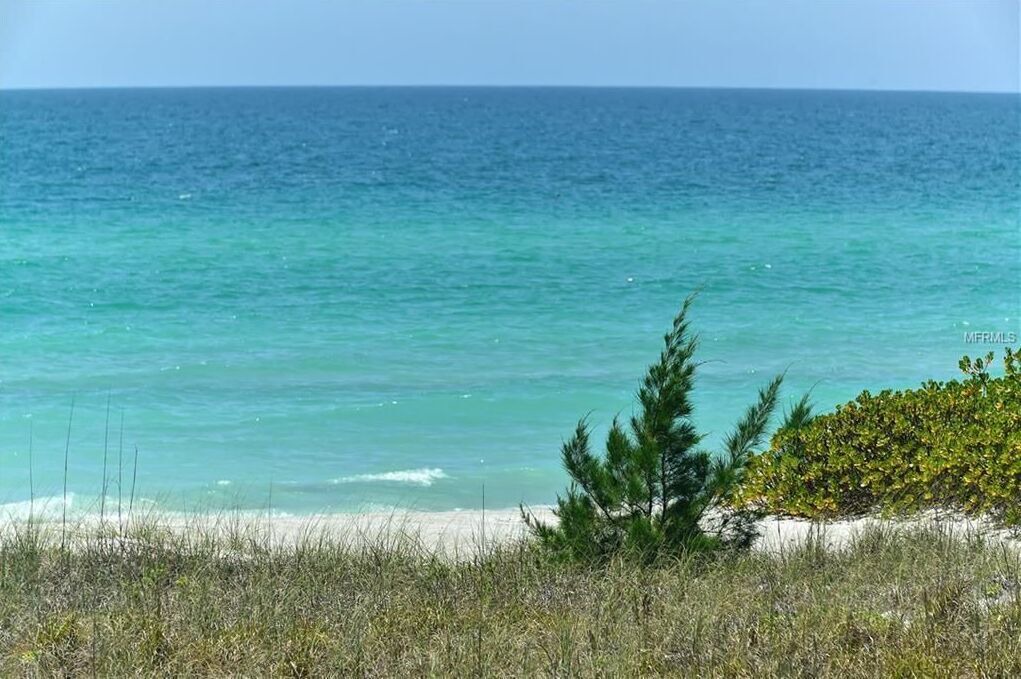 Photo of Others in Longboat Key