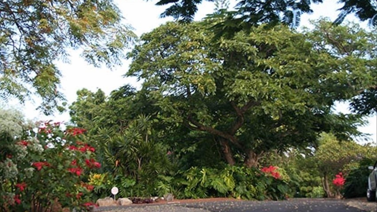 Photo of Others in Kahaluu-Keauhou