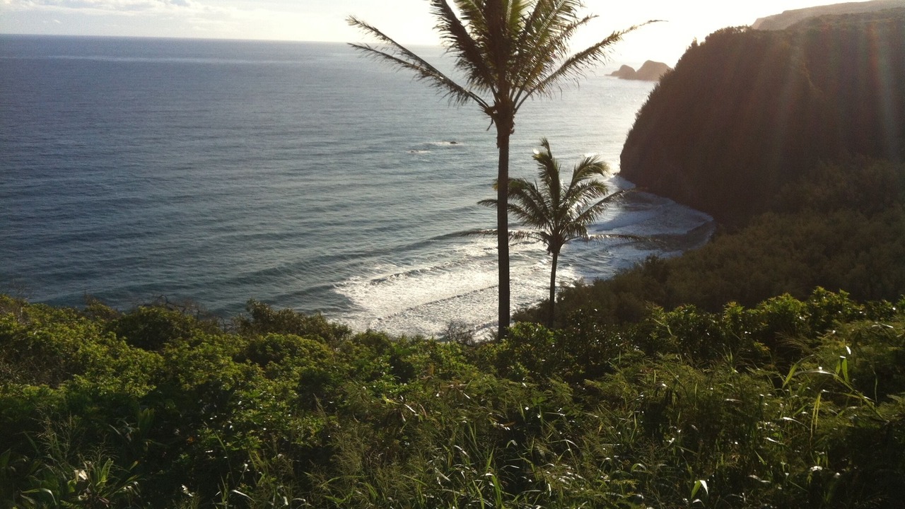 Photo of Others in Kapaau