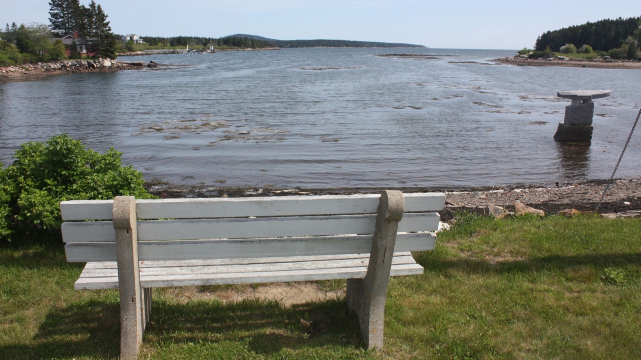 Photo of Others in Winter Harbor
