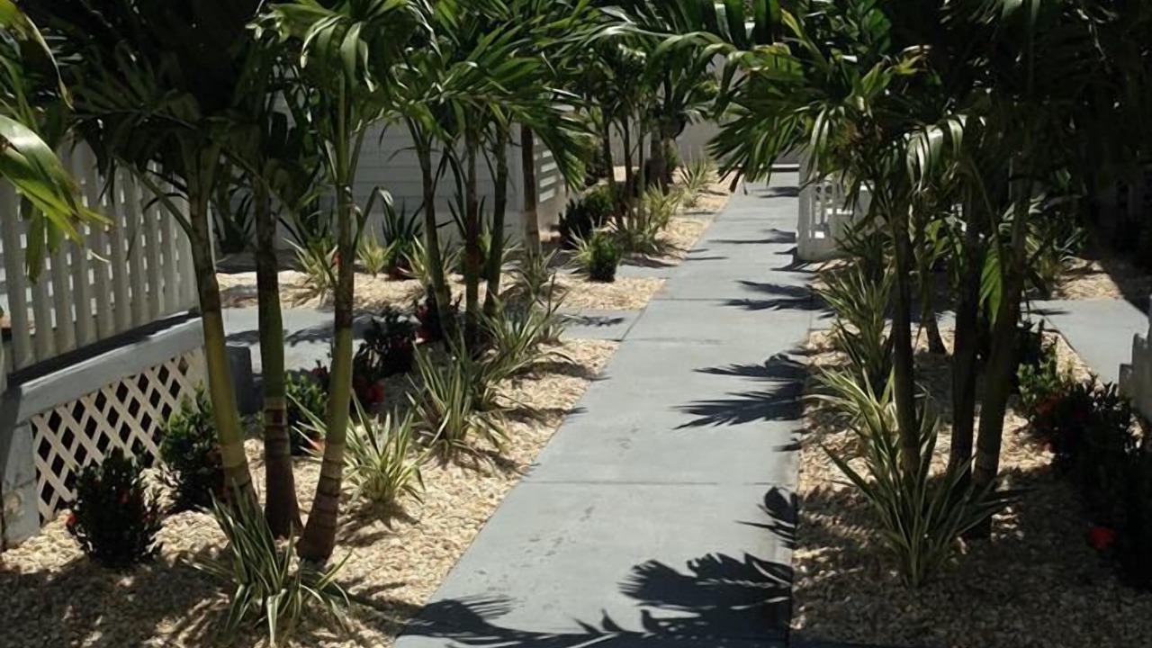 Photo of Others in Treasure Island