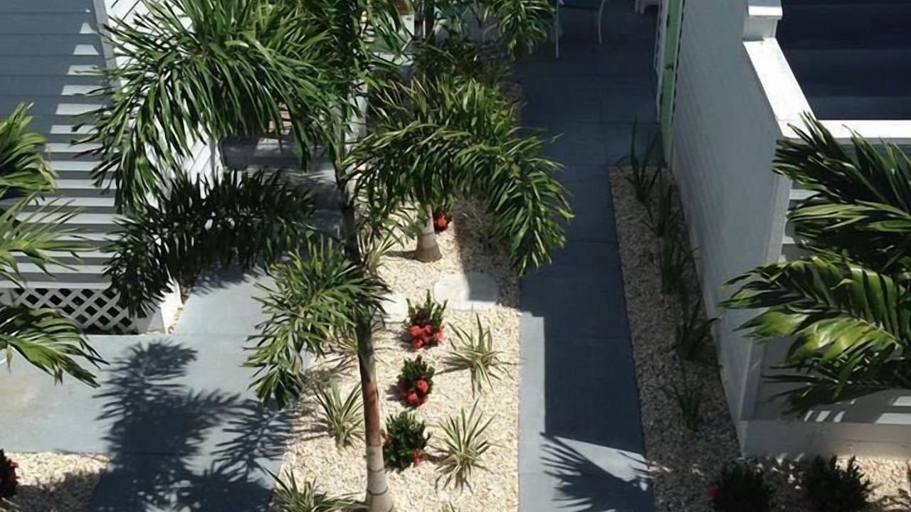 Photo of Outdoor in Treasure Island