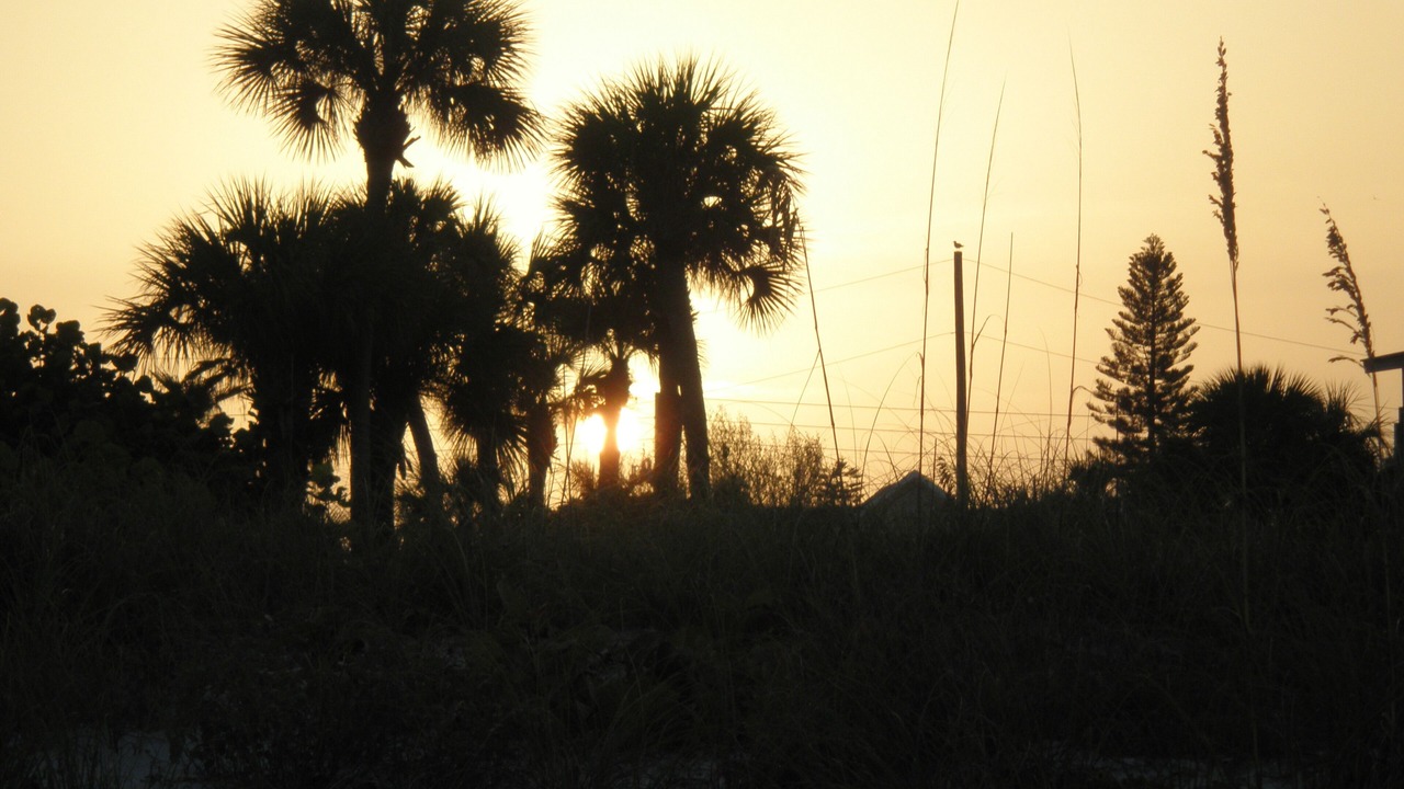Photo of Others in Treasure Island