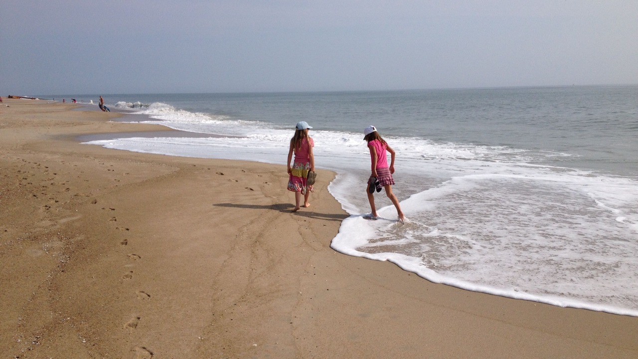 Photo of Others in South Bethany