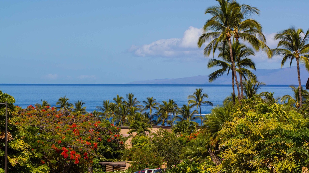 Photo of Others in Wailea