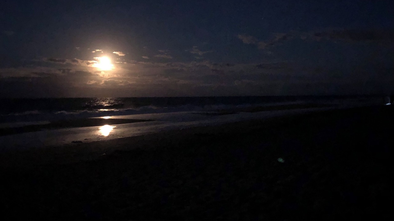 Photo of Others in Bethany Beach