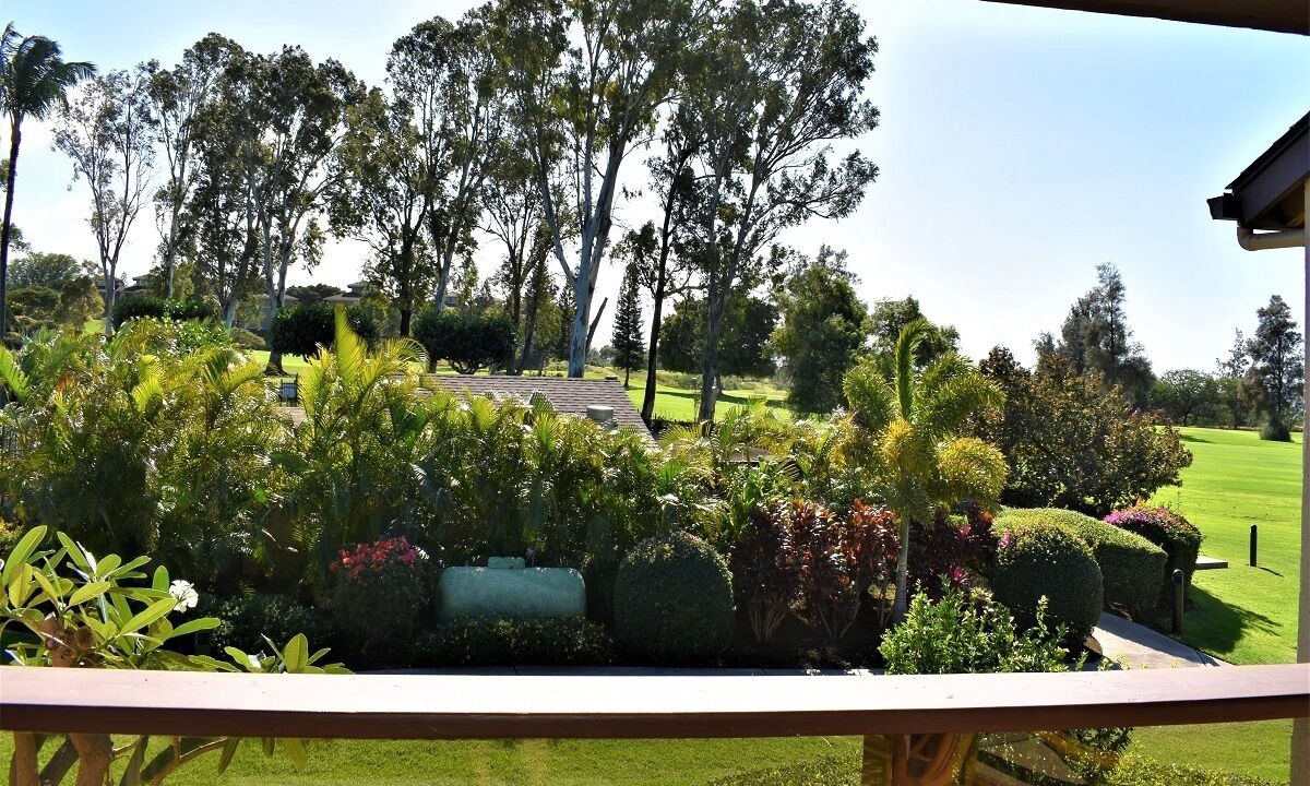 Photo of Others in Waikoloa Village