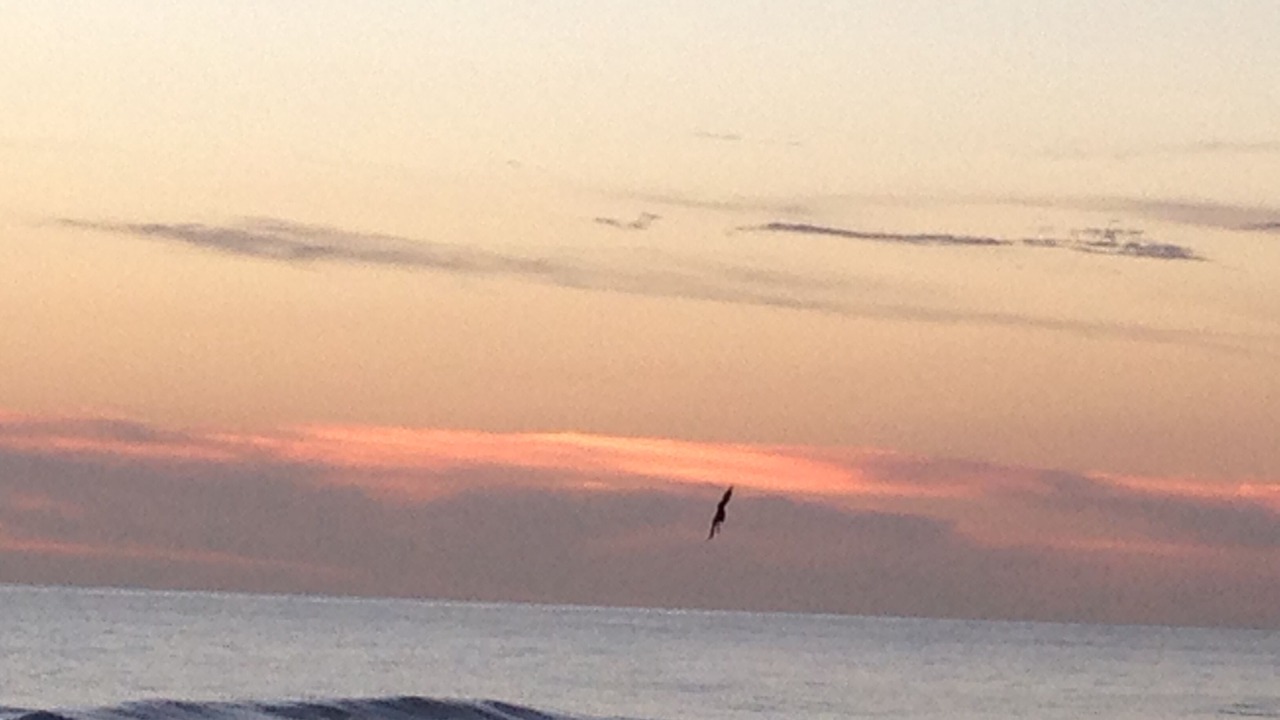 Photo of Others in Longboat Key