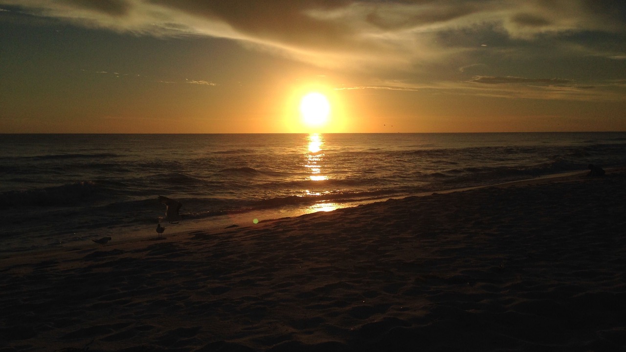 Photo of Others in Longboat Key