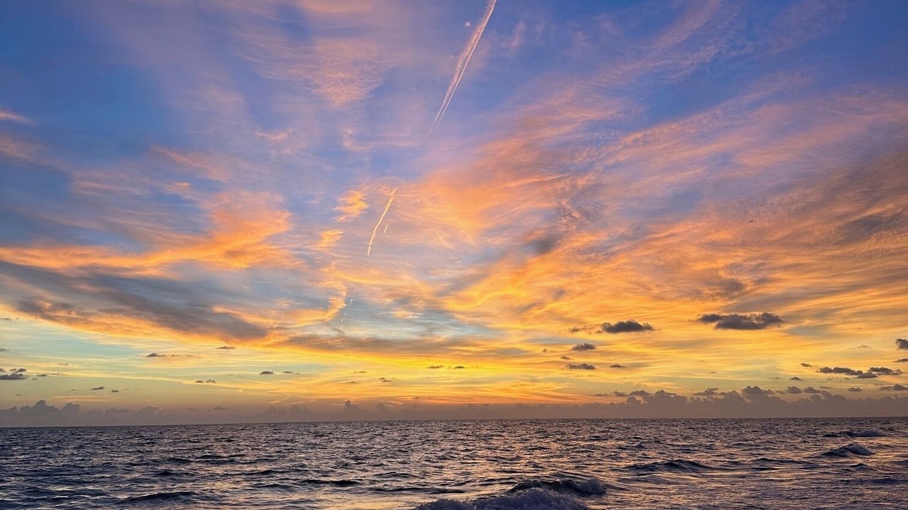Photo of Others in Longboat Key