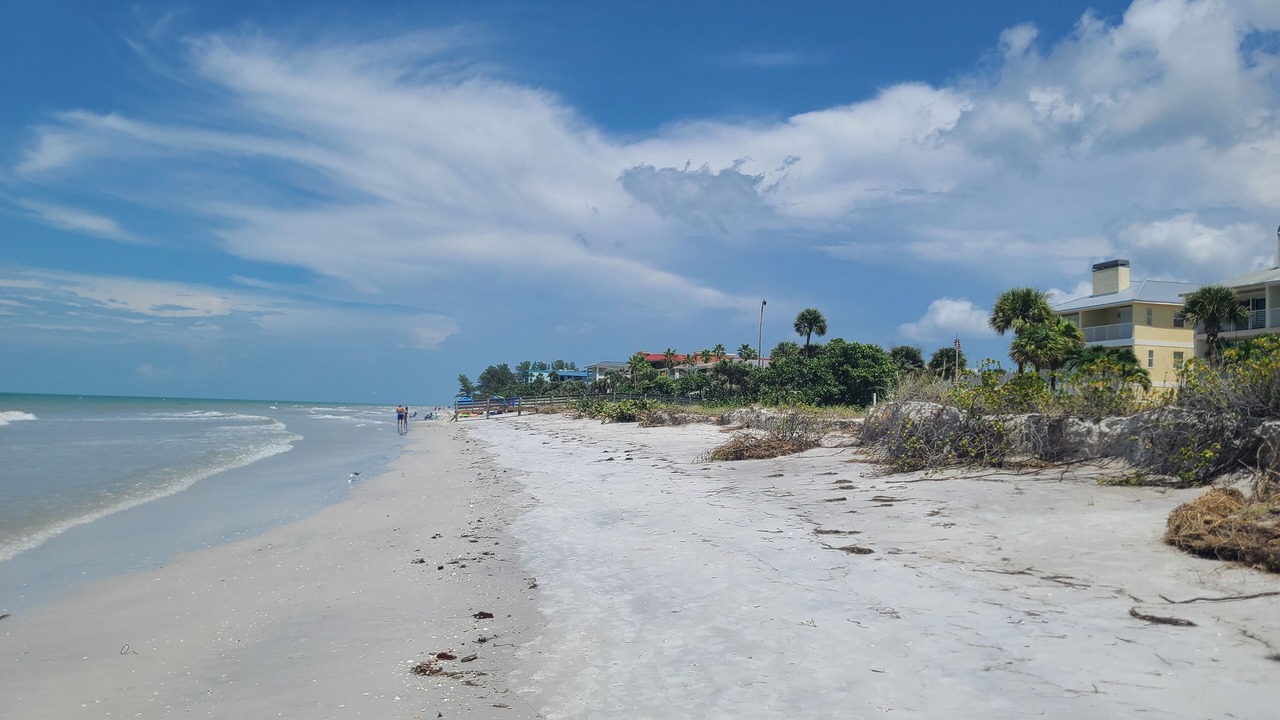 Photo of Others in Indian Rocks Beach