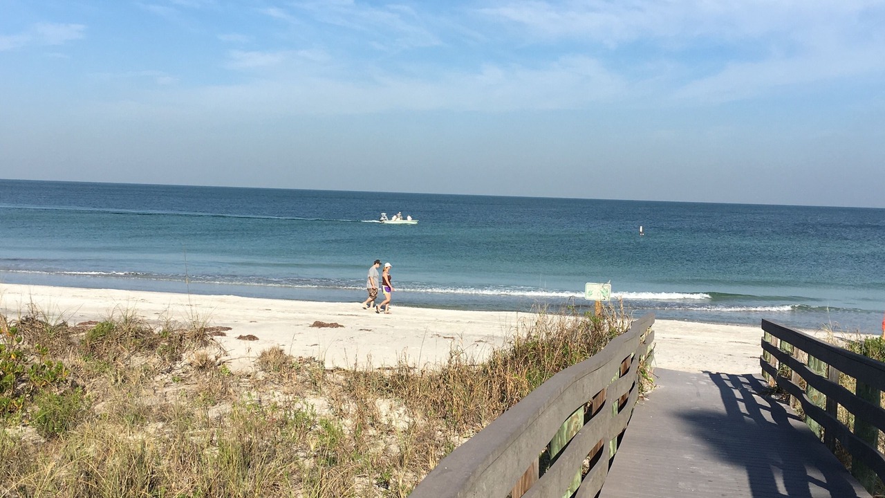 Photo of Others in Indian Rocks Beach