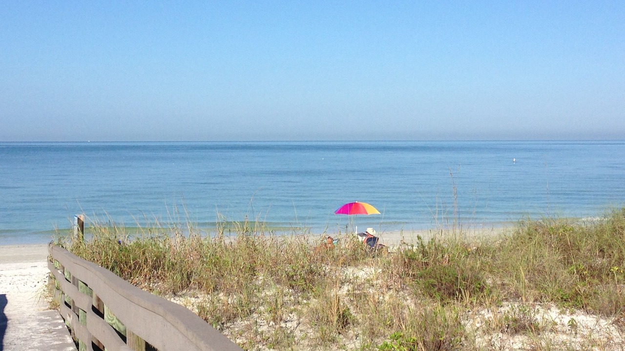 Photo of Others in Indian Rocks Beach