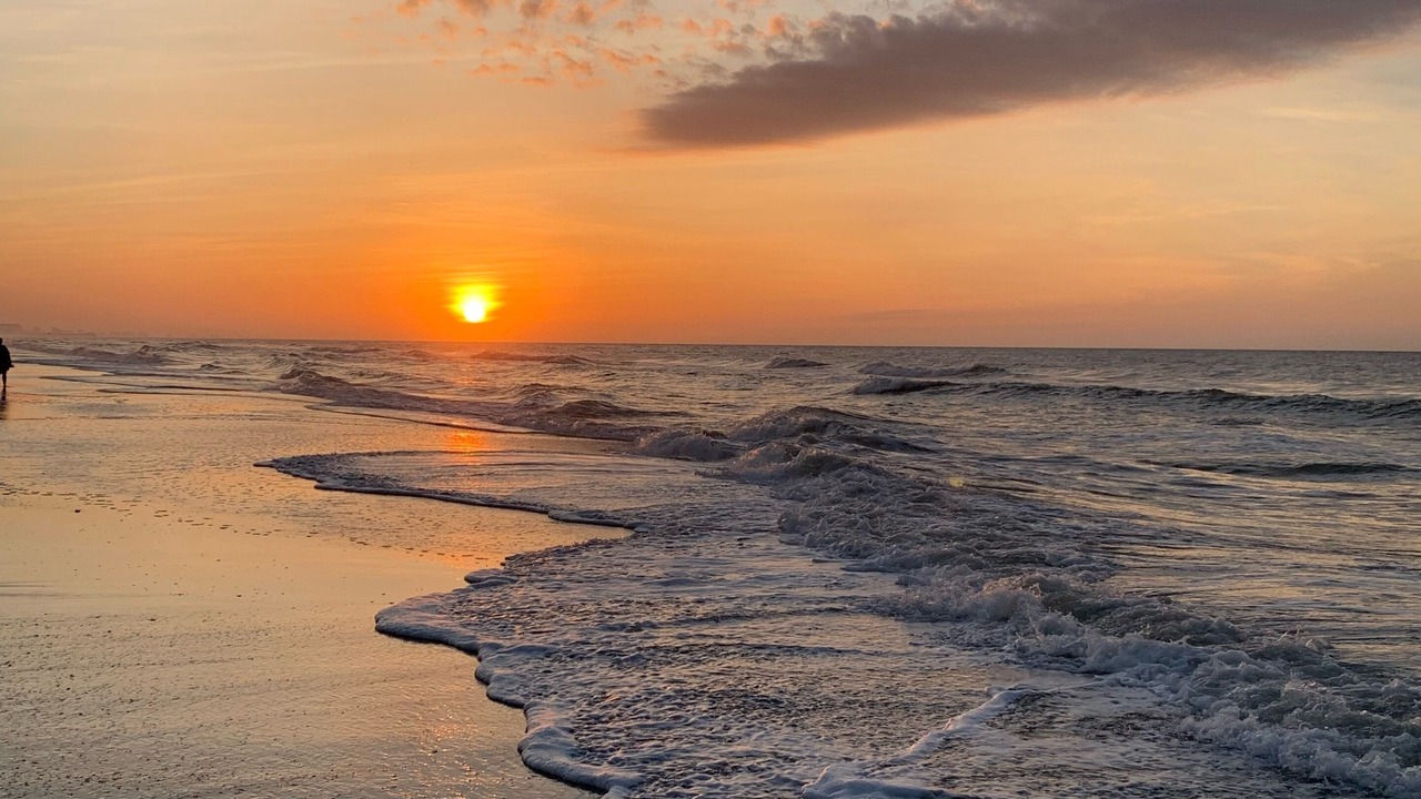 Photo of Others in Myrtle Beach