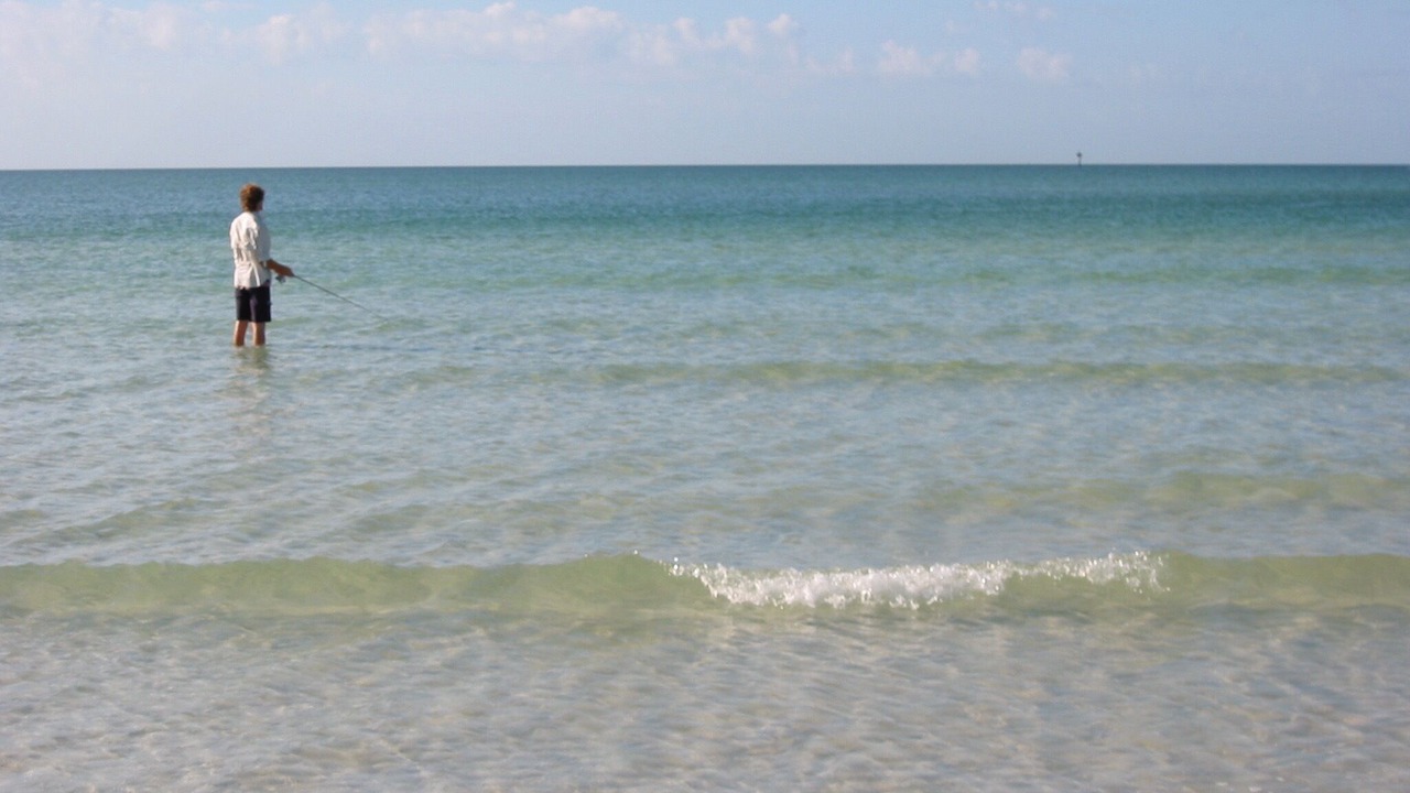Photo of Others in Siesta Key