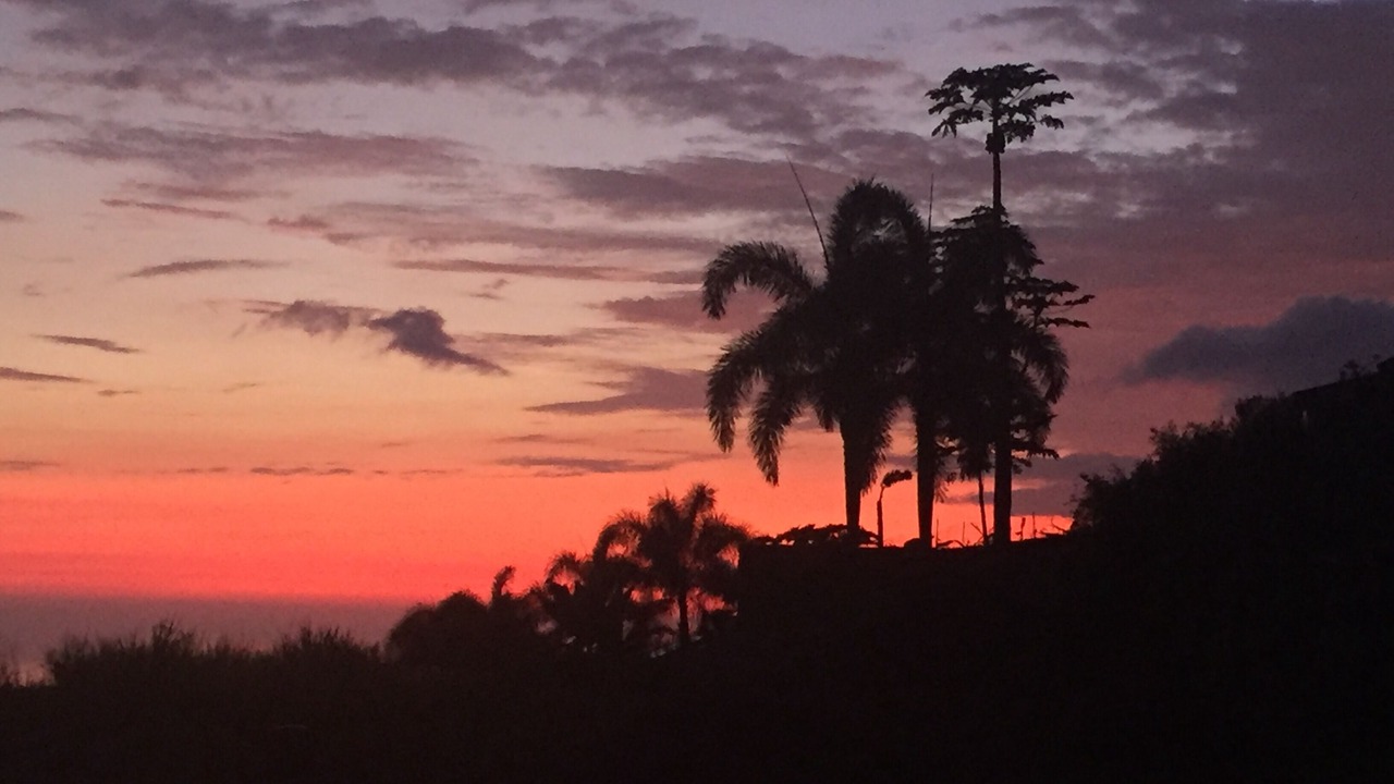 Photo of Others in Kailua-Kona