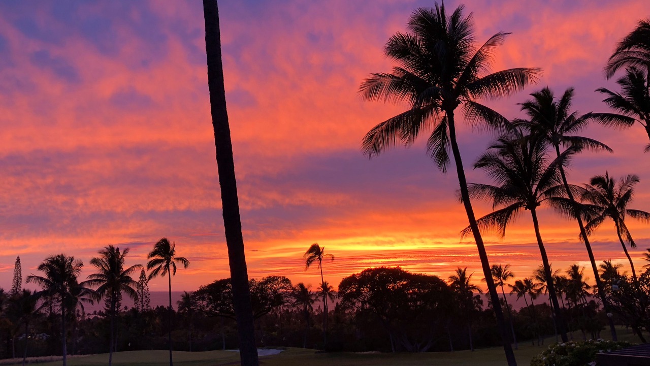 Photo of Others in Kahaluu-Keauhou