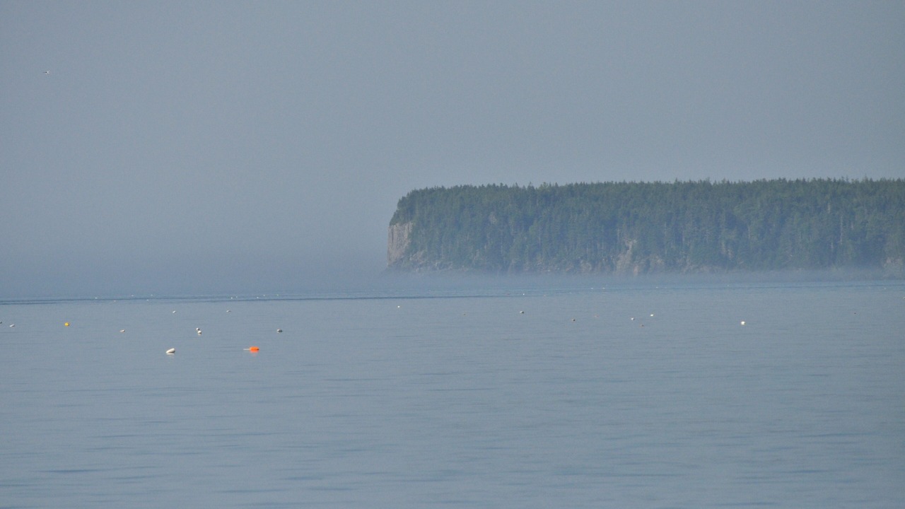 Photo of Others in South Gouldsboro