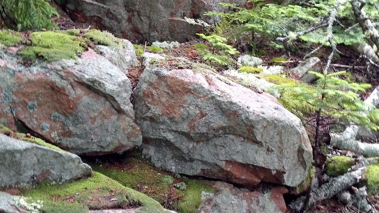 Photo of Outdoor in South Gouldsboro