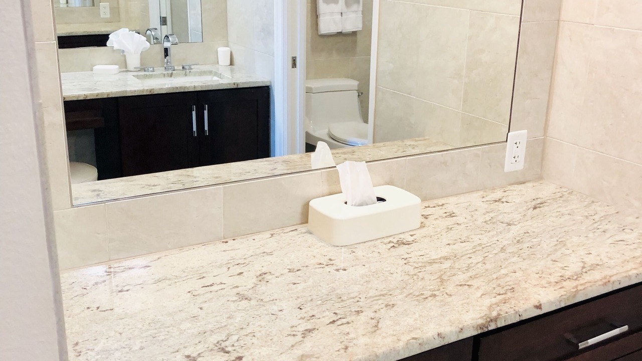 Photo of Bathroom in Longboat Key