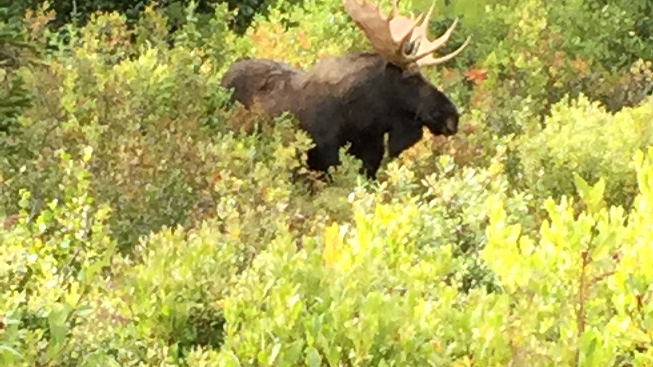 Photo of Others in Breckenridge