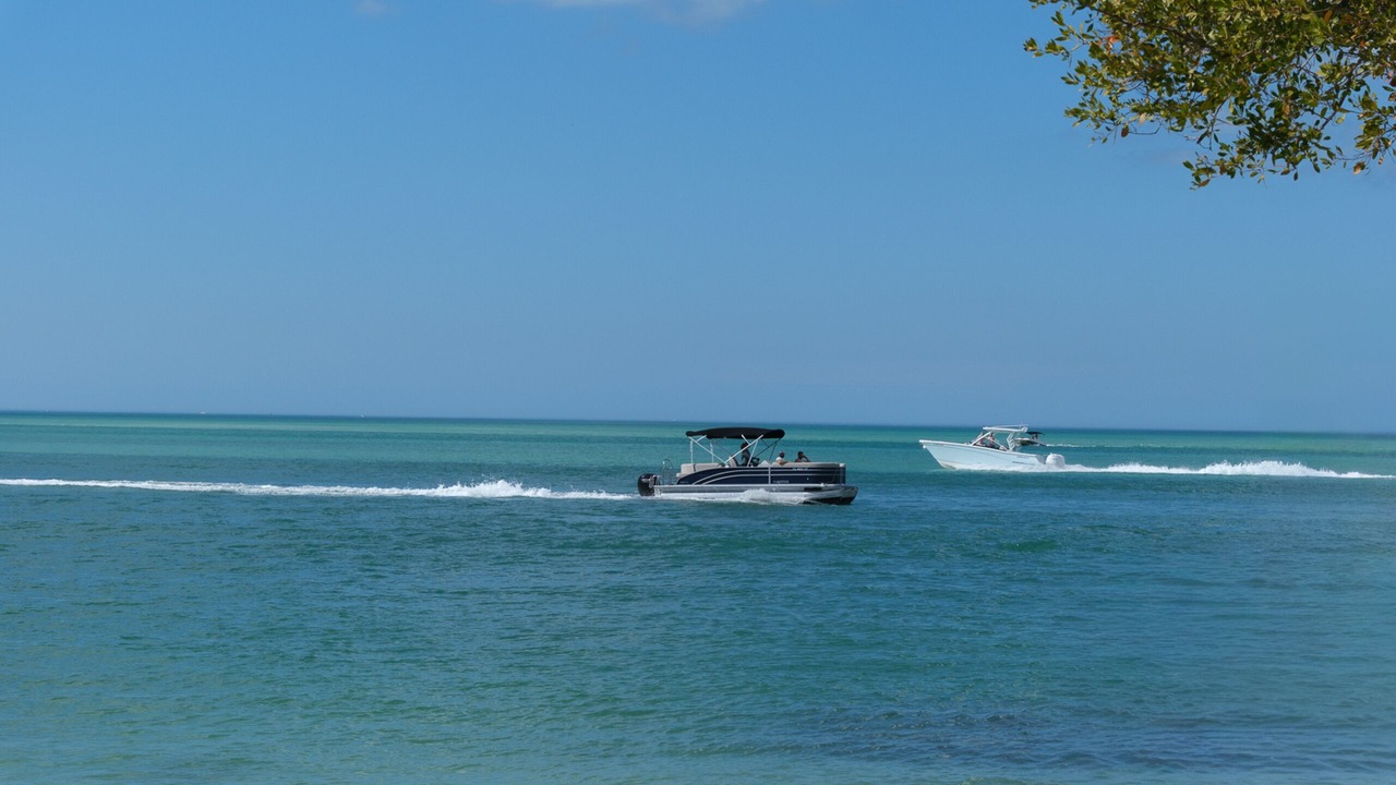 Photo of Others in Siesta Key