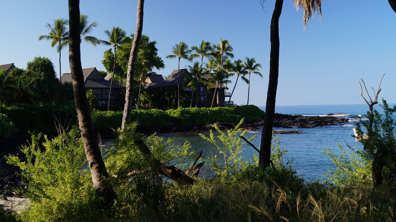 Photo of Others in Kahaluu Bay