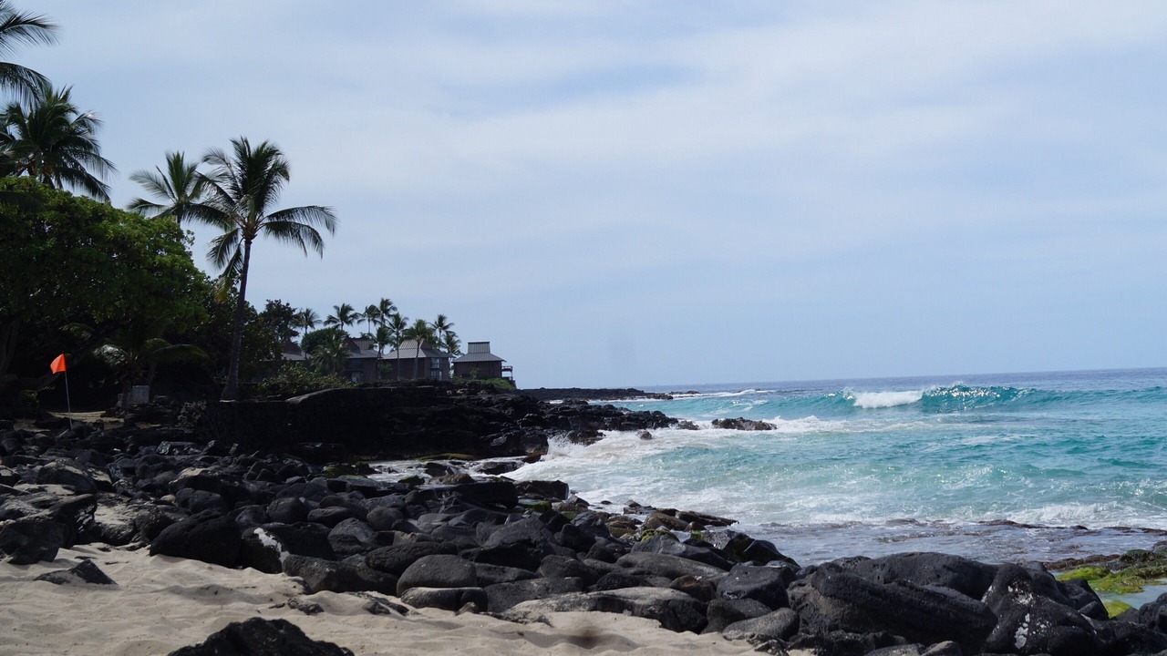 Photo of Others in Kahaluu Bay