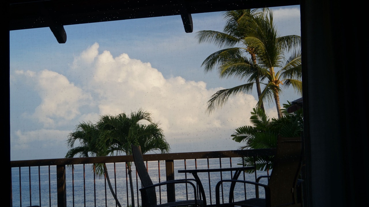 Photo of Others in Kahaluu Bay