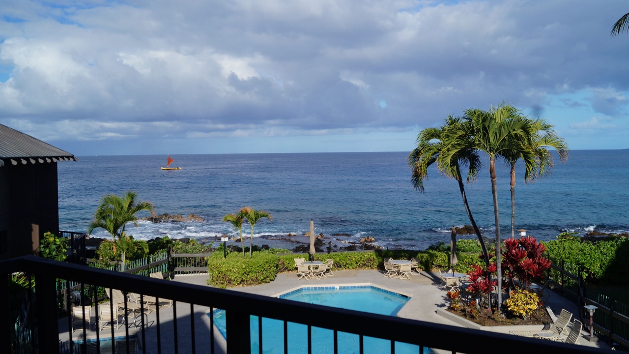 Photo of Others in Kahaluu Bay