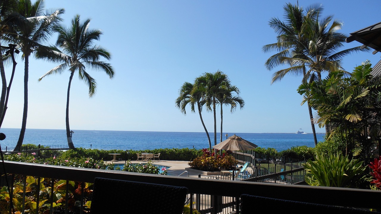 Photo of Others in Kahaluu Bay