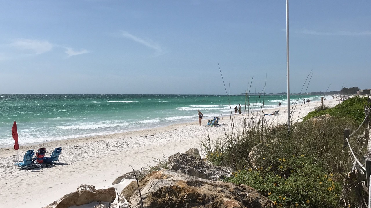 Photo of Others in Longboat Key