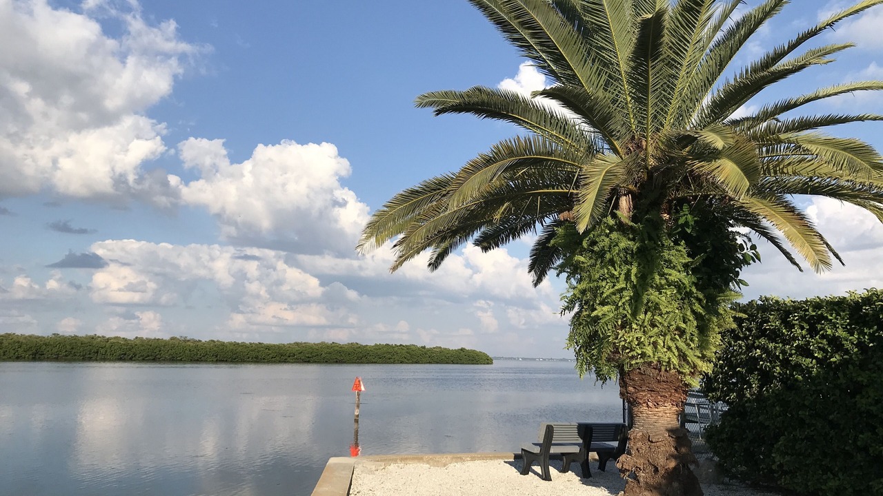 Photo of Others in Longboat Key