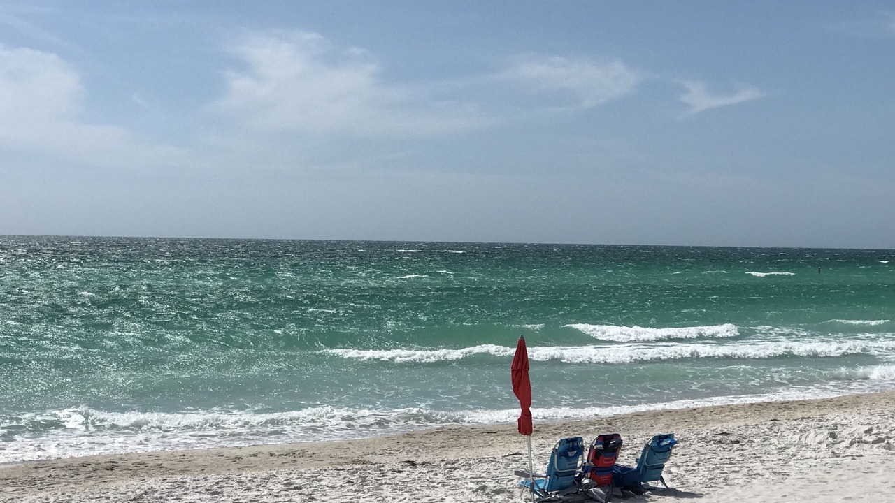 Photo of Others in Longboat Key