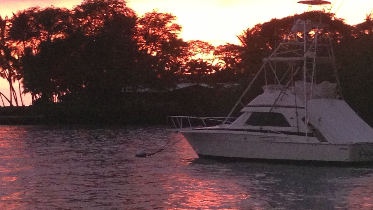 Photo of Others in Keauhou
