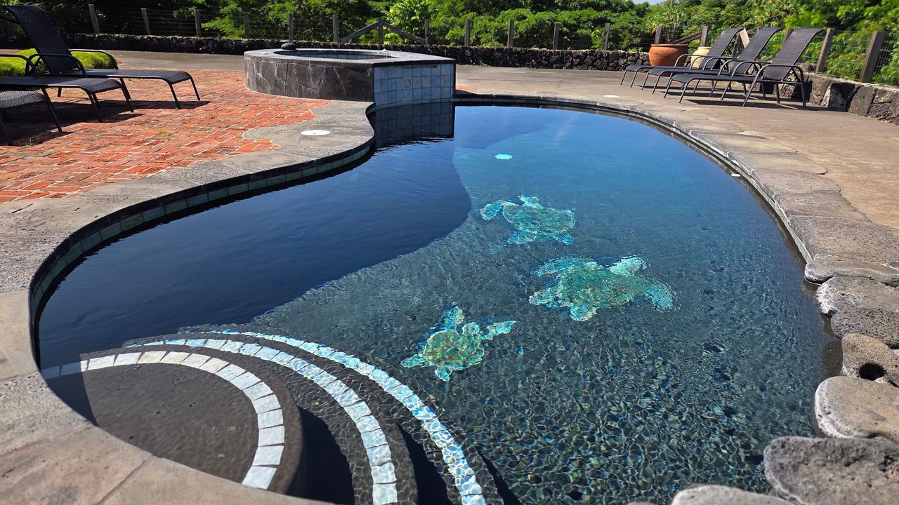 Photo of Outdoor in Captain Cook
