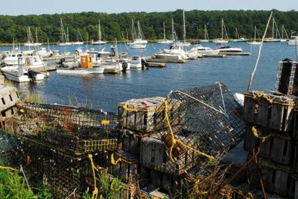 Photo of Others in East Greenwich