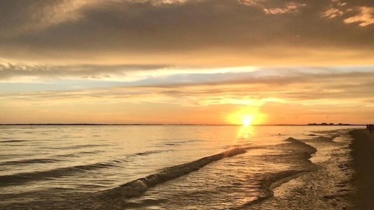 Photo of Others in Fort Myers Beach