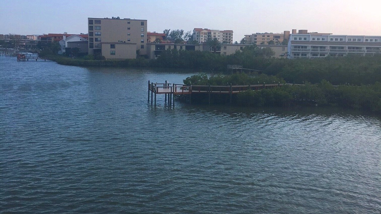 Photo of Others in Indian Shores