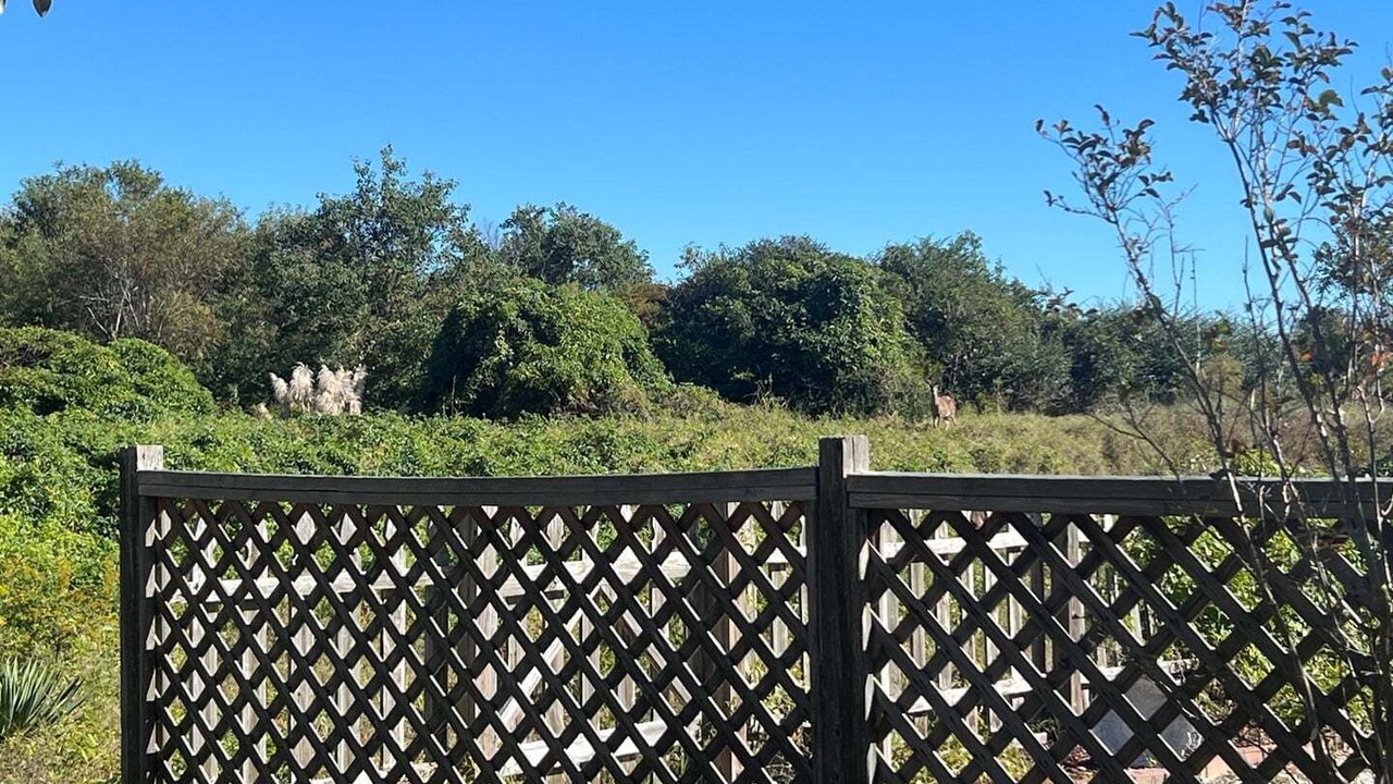 Photo of Others in Holden Beach