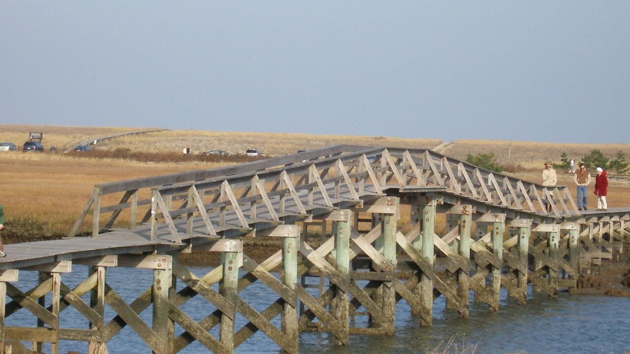 Photo of Others in Sandwich