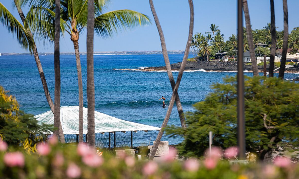 Photo of Outdoor in Kahaluu Bay