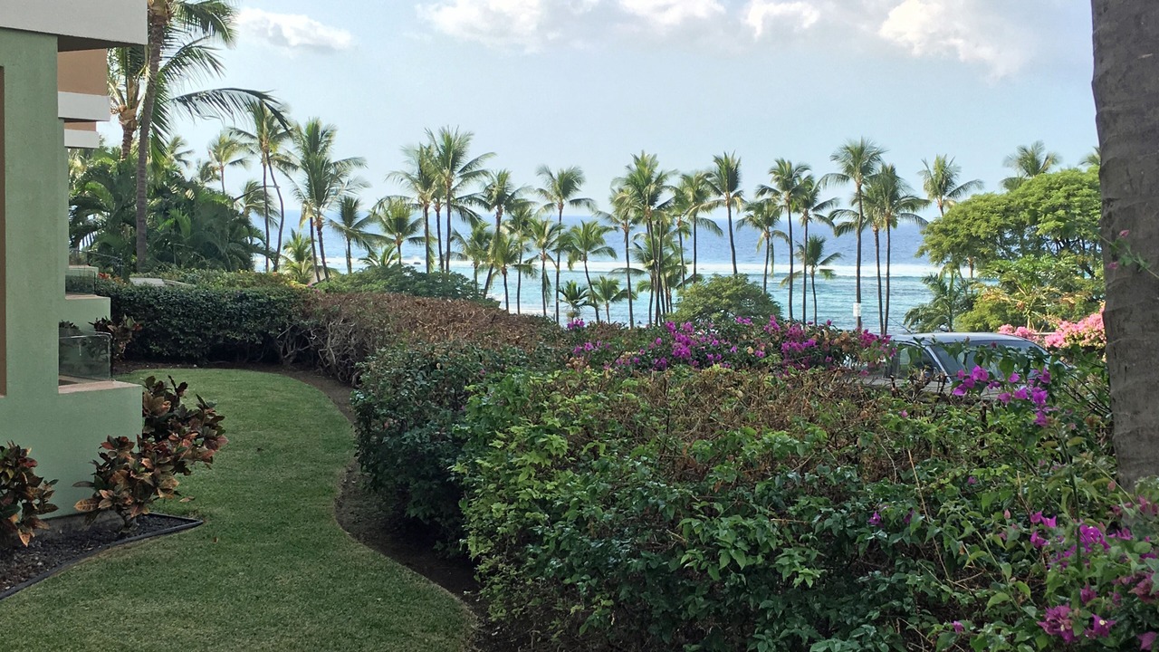 Photo of Others in Kahaluu-Keauhou