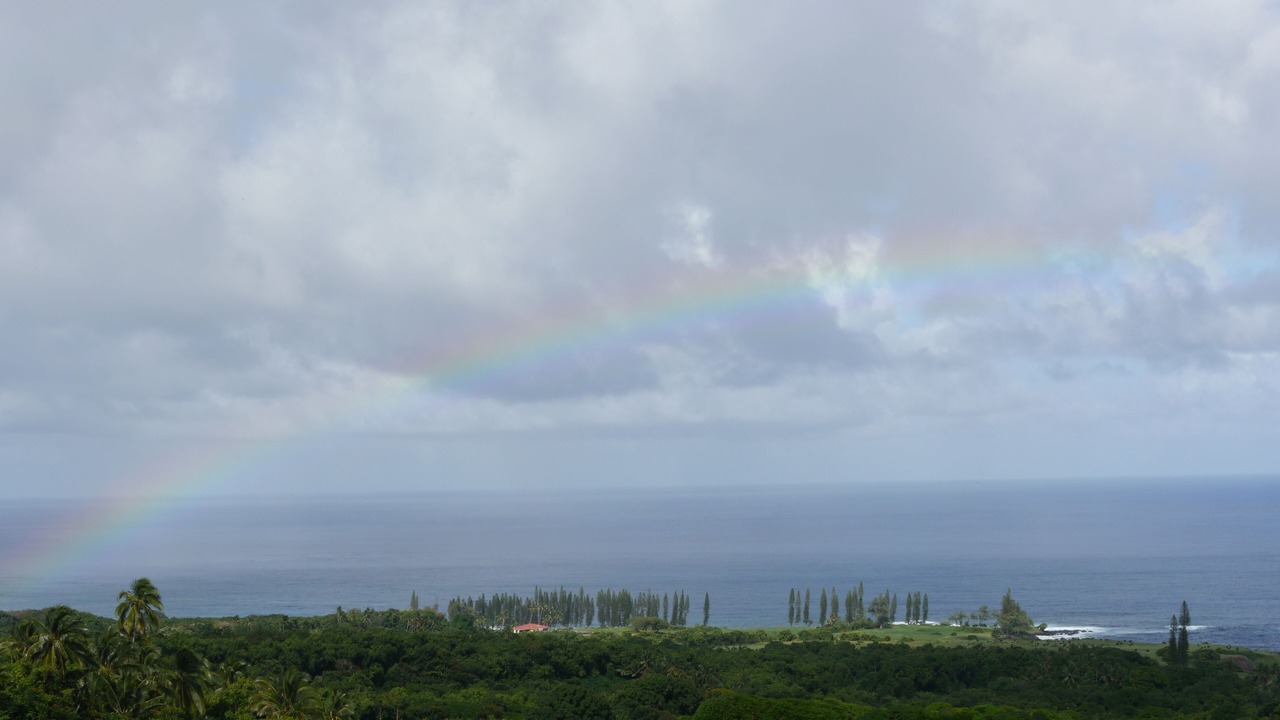 Photo of Others in Hana